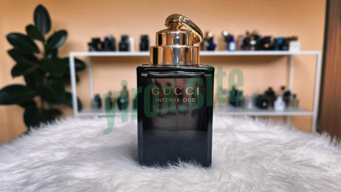 Gucci Oud Intense